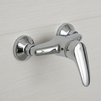 Grifo monomando ducha BASIC