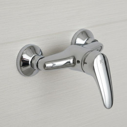 Grifo monomando ducha BASIC