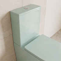 Inodoro Colores - Frades