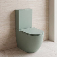 Inodoro Colores - Gales
