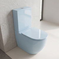 Inodoro Colores - Gales