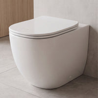 Inodoro Compacto Zen - Fossil Natura