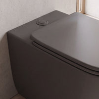 Inodoro Compacto Zen - Fossil Natura